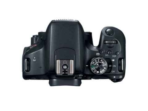 Canon EOS 800D + EF-S 18-55 DC III.Picture4